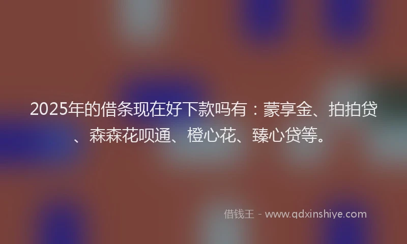 2025年的借条现在好下款吗有：蒙享金、拍拍贷、森森花呗通、橙心花、臻心贷等。