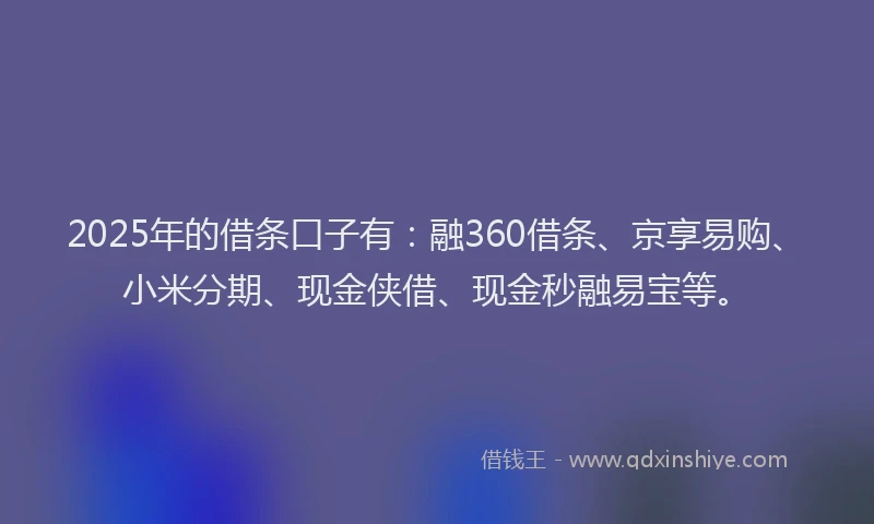 2025年的借条口子有：融360借条、京享易购、小米分期、现金侠借、现金秒融易宝等。
