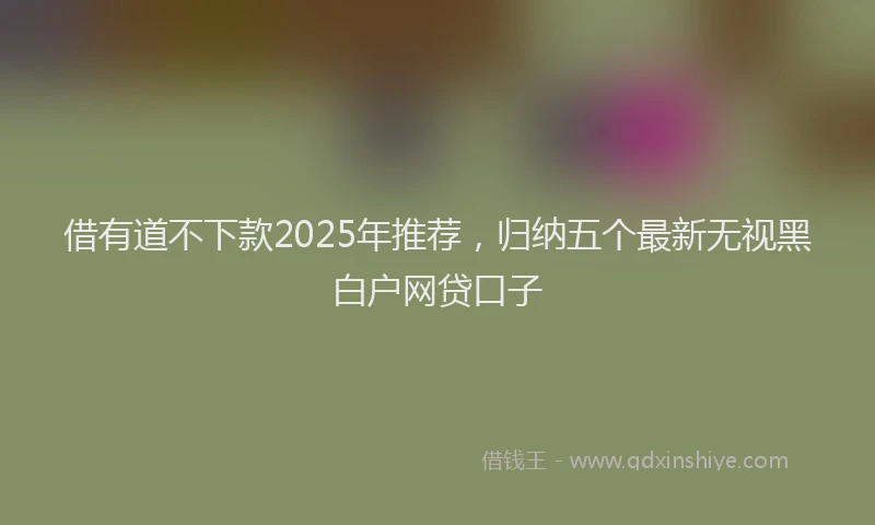 借有道不下款2025年推荐,归纳五个最新无视黑白户网贷口子