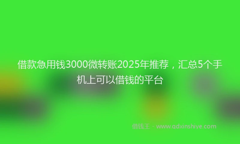 借款急用钱3000微转账2025年推荐，汇总5个手机上可以借钱的平台