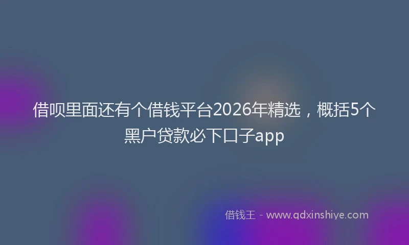 借呗里面还有个借钱平台2026年精选，概括5个黑户贷款必下口子app