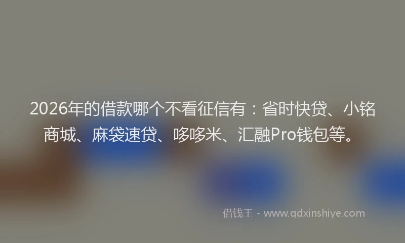 2026年的借款哪个不看征信有:省时快贷、小铭商城、麻袋速贷、哆哆米、汇融Pro钱包等。