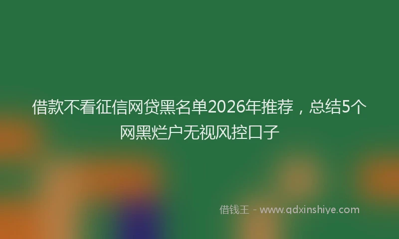 借款不看征信网贷黑名单2026年推荐，总结5个网黑烂户无视风控口子
