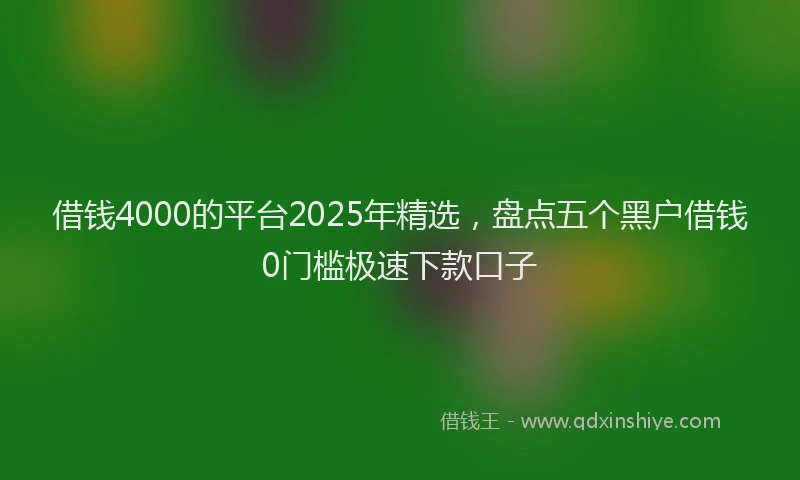 借钱4000的平台2025年精选，盘点五个黑户借钱0门槛极速下款口子