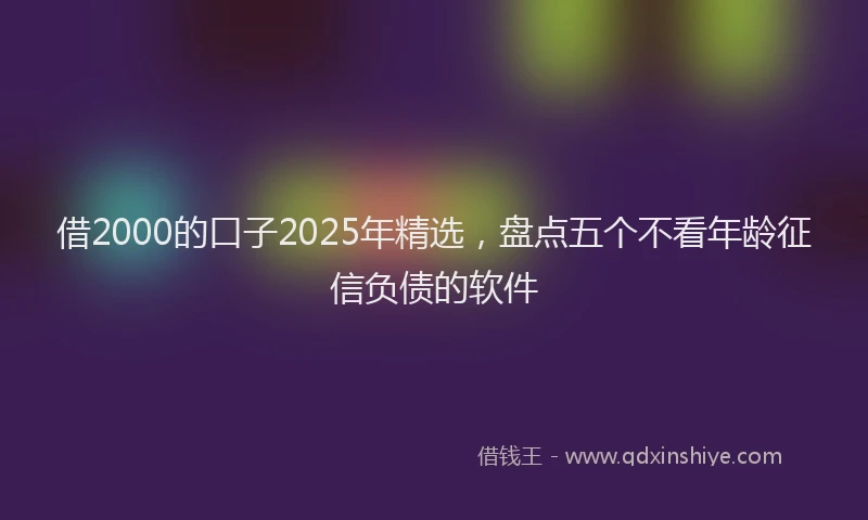 借2000的口子2025年精选，盘点五个不看年龄征信负债的软件