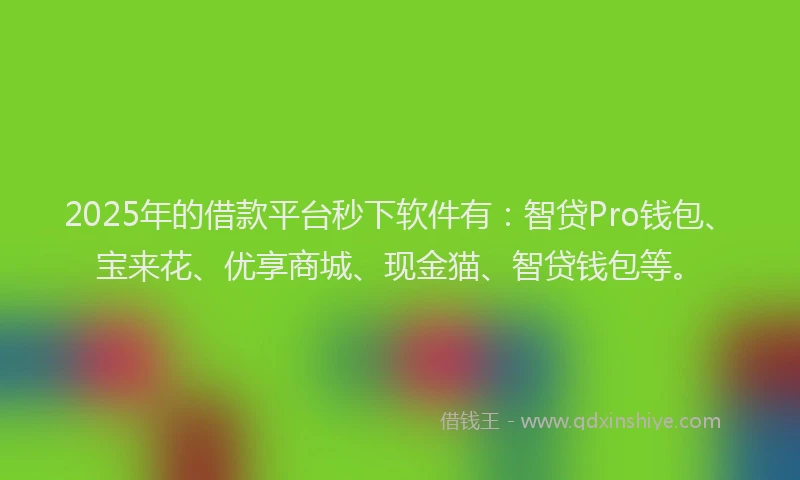 2025年的借款平台秒下软件有：智贷Pro钱包、宝来花、优享商城、现金猫、智贷钱包等。