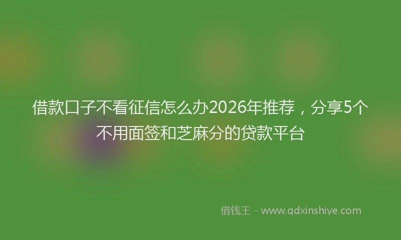 借款口子不看征信怎么办2026年推荐，分享5个不用面签和芝麻分的贷款平台