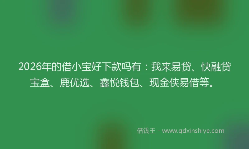 2026年的借小宝好下款吗有:我来易贷、快融贷宝盒、鹿优选、鑫悦钱包、现金侠易借等。