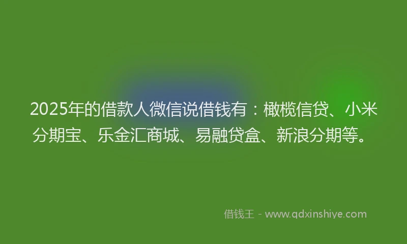 2025年的借款人微信说借钱有：橄榄信贷、小米分期宝、乐金汇商城、易融贷盒、新浪分期等。