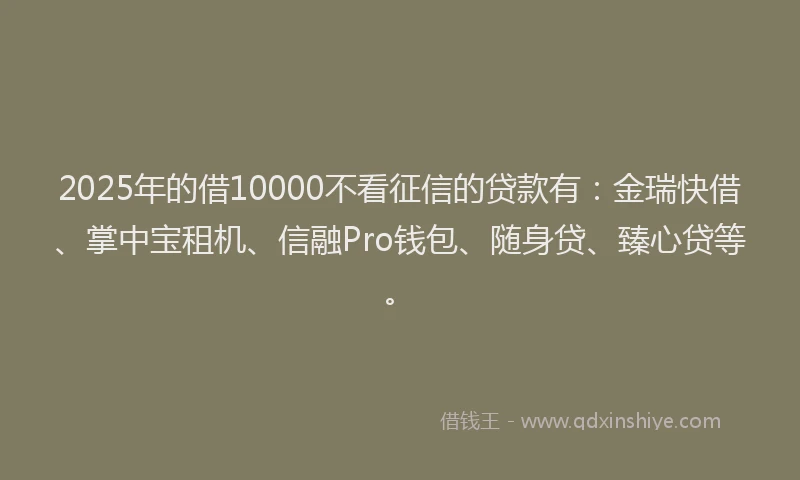2025年的借10000不看征信的贷款有：金瑞快借、掌中宝租机、信融Pro钱包、随身贷、臻心贷等。