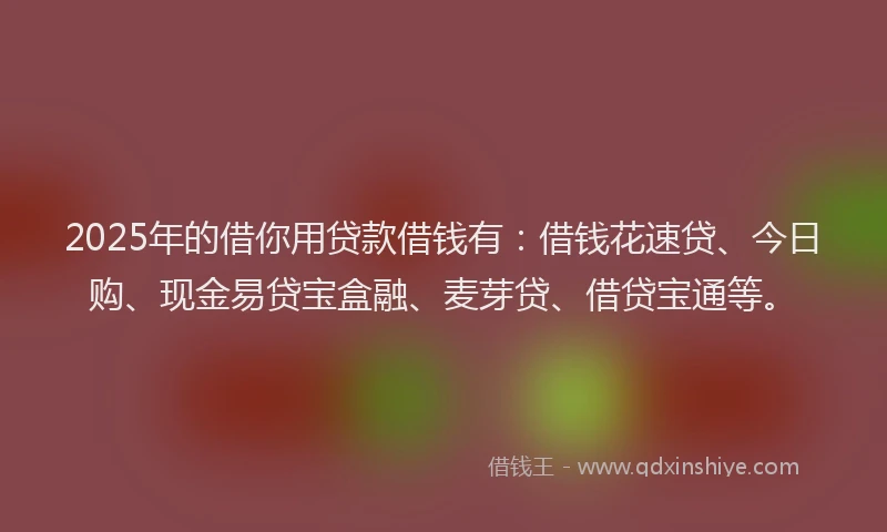 2025年的借你用贷款借钱有：借钱花速贷、今日购、现金易贷宝盒融、麦芽贷、借贷宝通等。