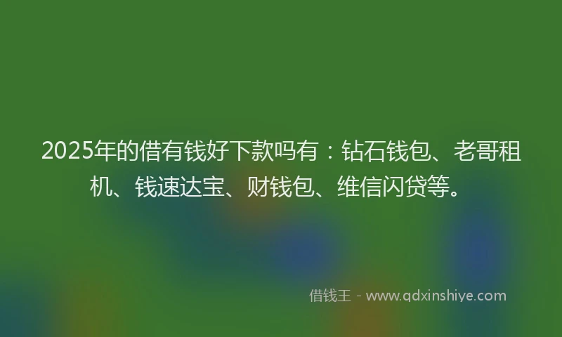 2025年的借有钱好下款吗有：钻石钱包、老哥租机、钱速达宝、财钱包、维信闪贷等。