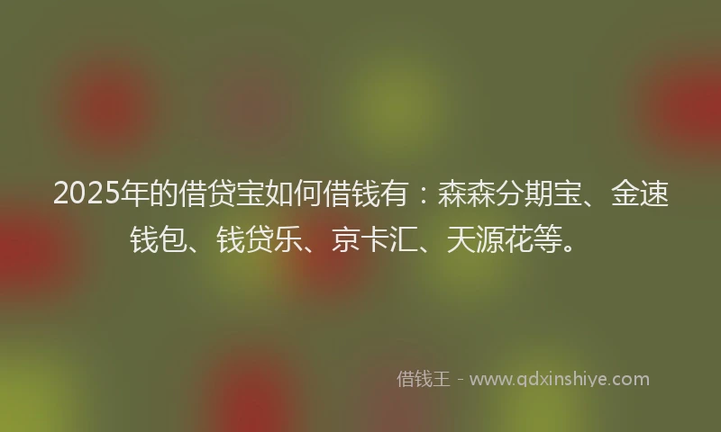2025年的借贷宝如何借钱有：森森分期宝、金速钱包、钱贷乐、京卡汇、天源花等。