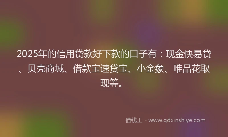 2025年的信用贷款好下款的口子有:现金快易贷、贝壳商城、借款宝速贷宝、小金象、唯品花取现等。