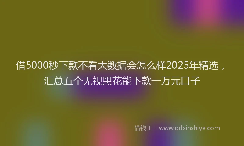 借5000秒下款不看大数据会怎么样2025年精选，汇总五个无视黑花能下款一万元口子