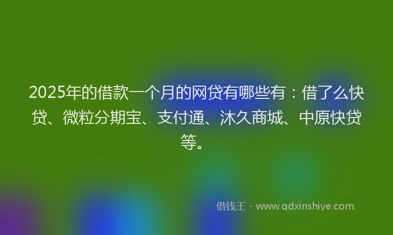 2025年的借款一个月的网贷有哪些有：借了么快贷、微粒分期宝、支付通、沐久商城、中原快贷等。