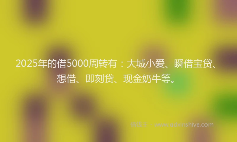 2025年的借5000周转有：大城小爱、瞬借宝贷、想借、即刻贷、现金奶牛等。