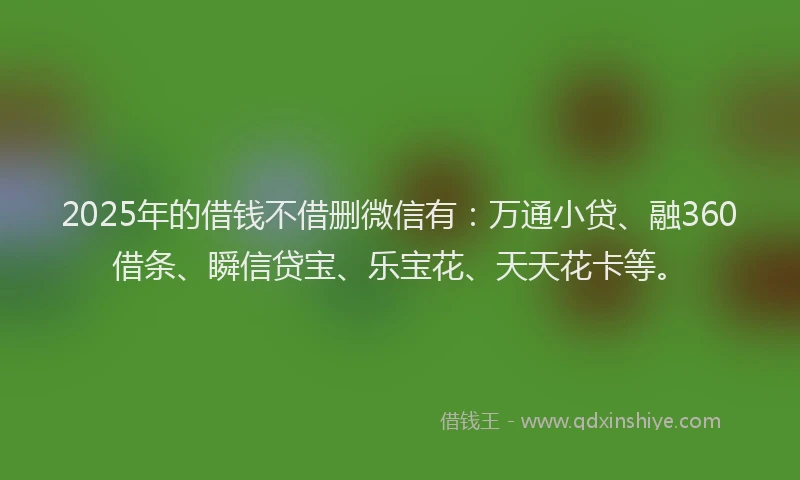 2025年的借钱不借删微信有：万通小贷、融360借条、瞬信贷宝、乐宝花、天天花卡等。