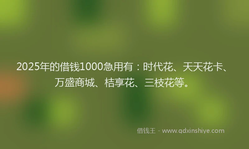 2025年的借钱1000急用有：时代花、天天花卡、万盛商城、桔享花、三枝花等。