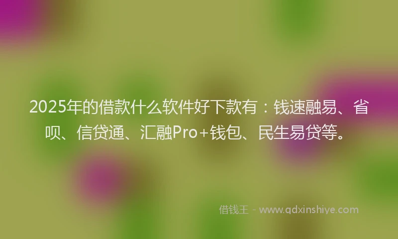 2025年的借款什么软件好下款有：钱速融易、省呗、信贷通、汇融Pro+钱包、民生易贷等。