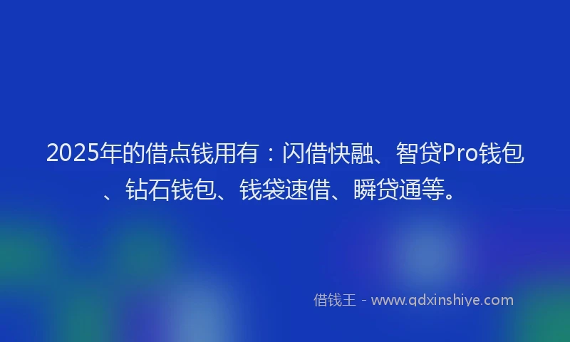 2025年的借点钱用有：闪借快融、智贷Pro钱包、钻石钱包、钱袋速借、瞬贷通等。