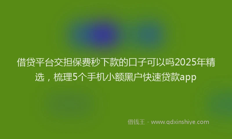借贷平台交担保费秒下款的口子可以吗2025年精选，梳理5个手机小额黑户快速贷款app