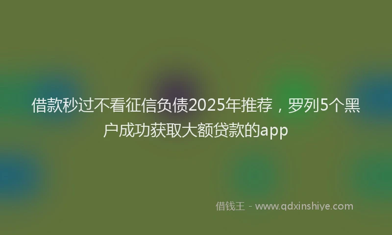 借款秒过不看征信负债2025年推荐，罗列5个黑户成功获取大额贷款的app