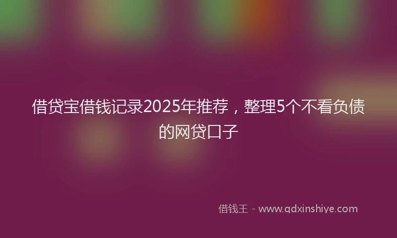 借贷宝借钱记录2025年推荐，整理5个不看负债的网贷口子