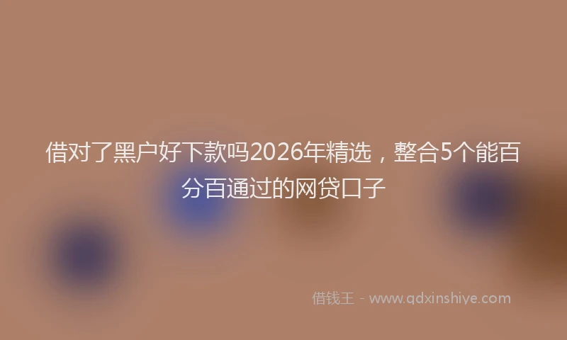 借对了黑户好下款吗2026年精选，整合5个能百分百通过的网贷口子