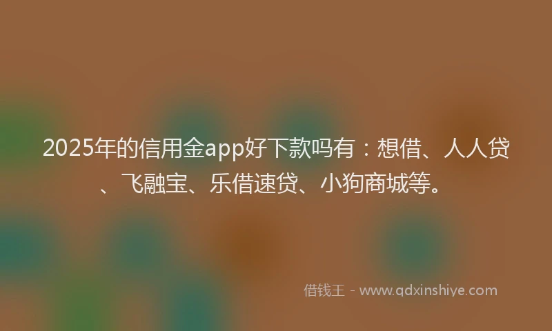 2025年的信用金app好下款吗有：想借、人人贷、飞融宝、乐借速贷、小狗商城等。