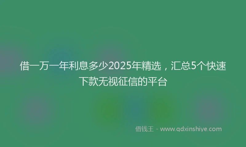借一万一年利息多少2025年精选,汇总5个快速下款无视征信的平台