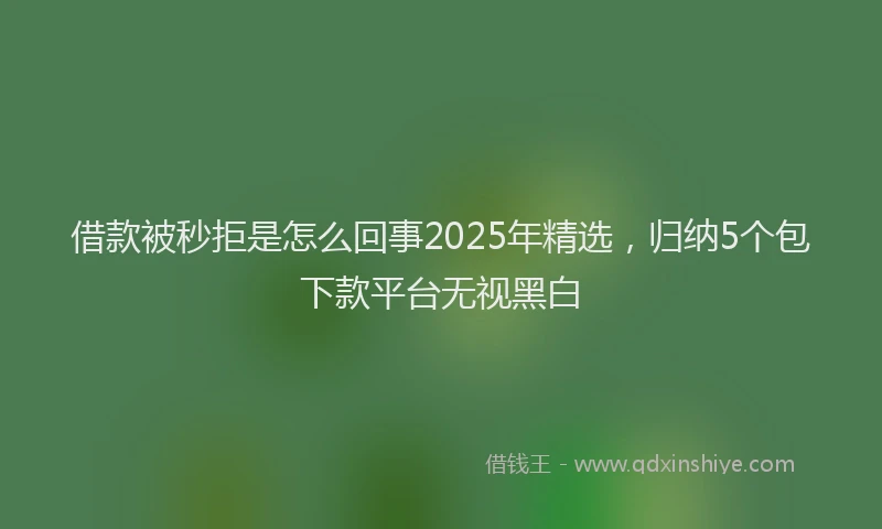 借款被秒拒是怎么回事2025年精选，归纳5个包下款平台无视黑白