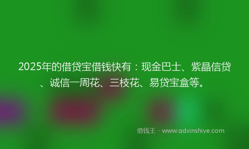 2025年的借贷宝借钱快有:现金巴士、紫晶信贷、诚信一周花、三枝花、易贷宝盒等。