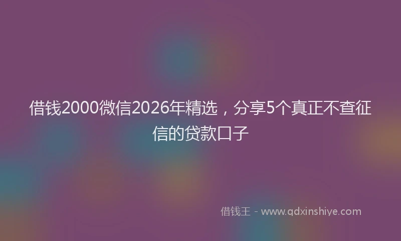 借钱2000微信2026年精选，分享5个真正不查征信的贷款口子