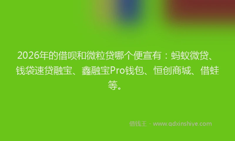 2026年的借呗和微粒贷哪个便宣有:蚂蚁微贷、钱袋速贷融宝、鑫融宝Pro钱包、恒创商城、借蛙等。