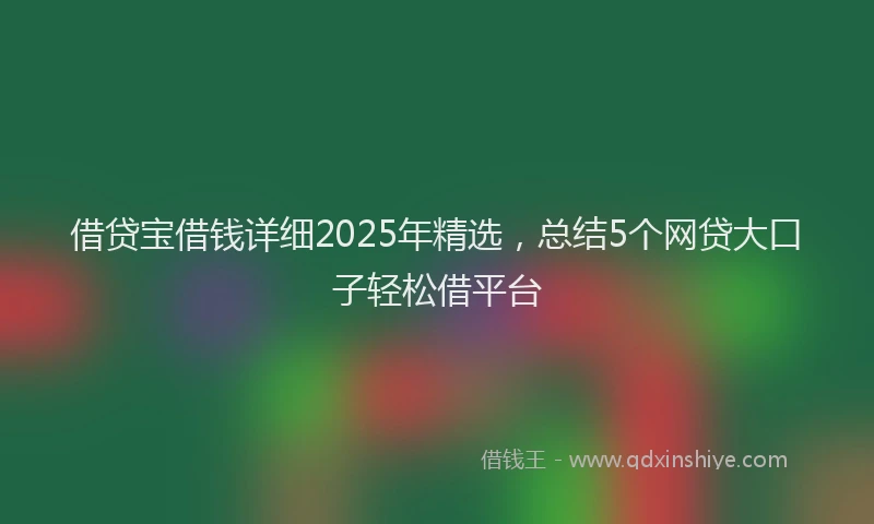 借贷宝借钱详细2025年精选,总结5个网贷大口子轻松借平台