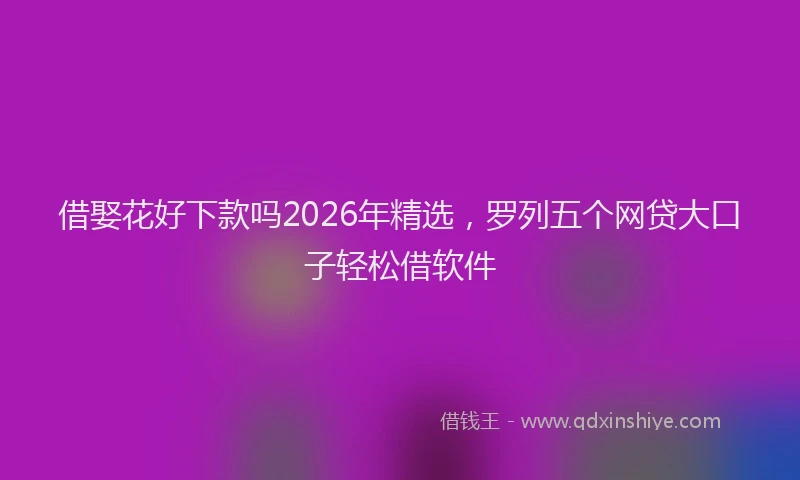 借娶花好下款吗2026年精选，罗列五个网贷大口子轻松借软件