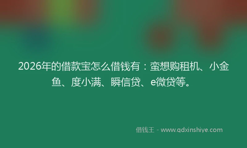 2026年的借款宝怎么借钱有：蛮想购租机、小金鱼、度小满、瞬信贷、e微贷等。