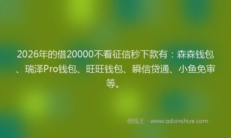 2026年的借20000不看征信秒下款有:森森钱包、瑞泽Pro钱包、旺旺钱包、瞬信贷通、小鱼免审等。