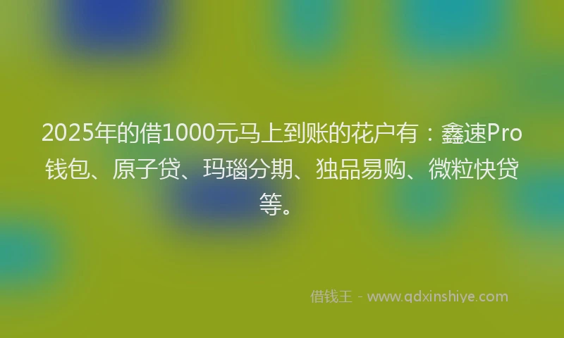 2025年的借1000元马上到账的花户有：鑫速Pro钱包、原子贷、玛瑙分期、独品易购、微粒快贷等。