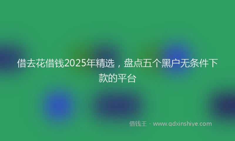 借去花借钱2025年精选，盘点五个黑户无条件下款的平台