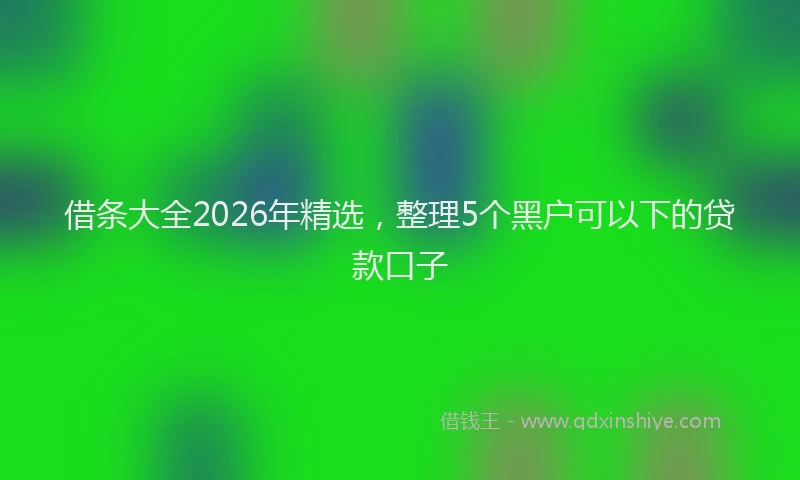 借条大全2026年精选，整理5个黑户可以下的贷款口子