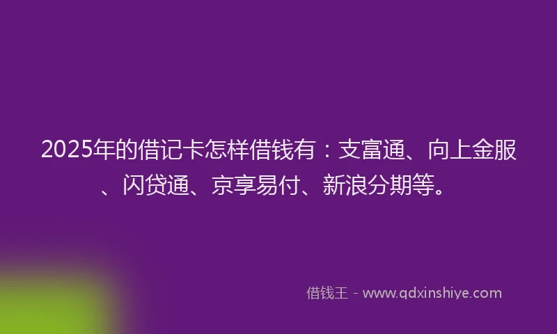2025年的借记卡怎样借钱有：支富通、向上金服、闪贷通、京享易付、新浪分期等。