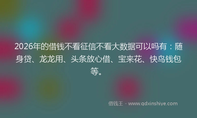 2026年的借钱不看征信不看大数据可以吗有：随身贷、龙龙用、头条放心借、宝来花、快鸟钱包等。