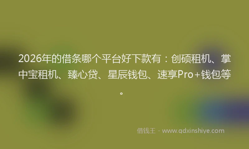 2026年的借条哪个平台好下款有:创硕租机、掌中宝租机、臻心贷、星辰钱包、速享Pro+钱包等。