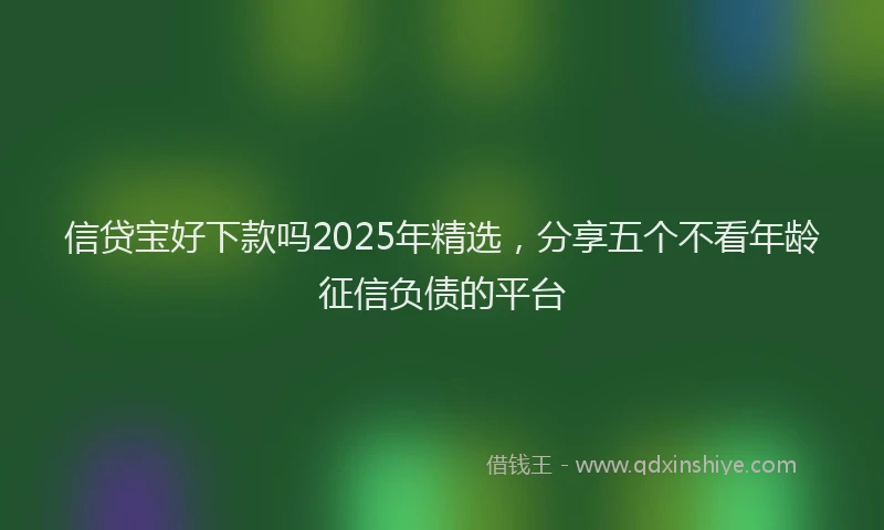 信贷宝好下款吗2025年精选，分享五个不看年龄征信负债的平台
