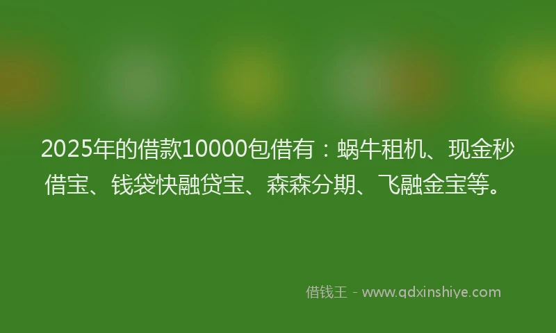 2025年的借款10000包借有:蜗牛租机、现金秒借宝、钱袋快融贷宝、森森分期、飞融金宝等。