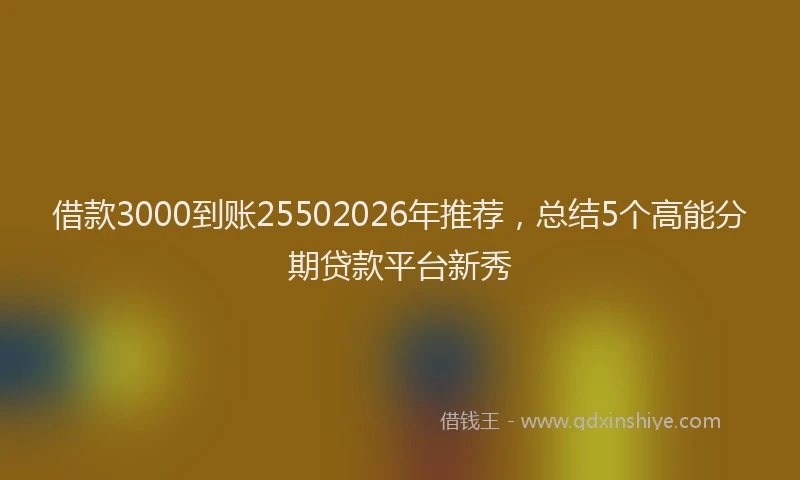 借款3000到账25502026年推荐，总结5个高能分期贷款平台新秀