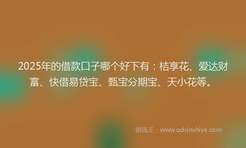 2025年的借款口子哪个好下有：桔享花、爱达财富、快借易贷宝、甄宝分期宝、天小花等。