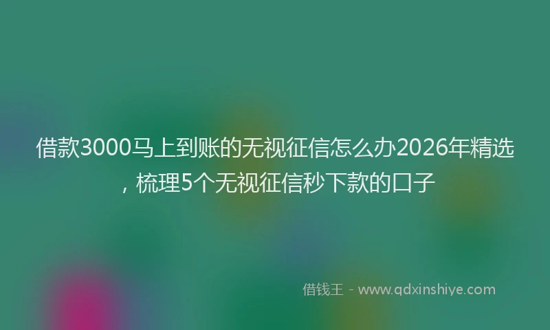 借款3000马上到账的无视征信怎么办2026年精选，梳理5个无视征信秒下款的口子